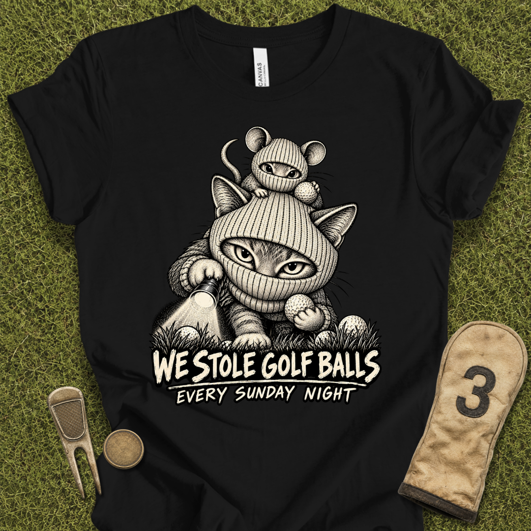 We Stole BallsT-Shirt